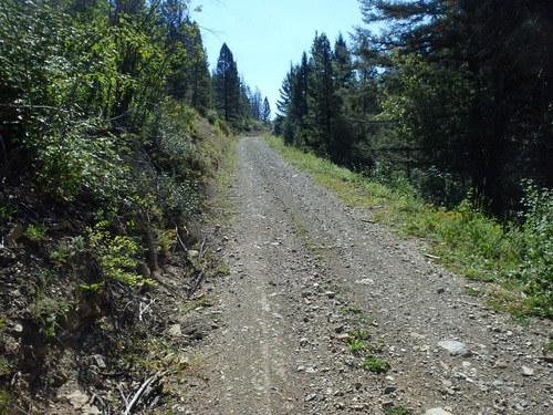 GDMBR: Getting Steep with Loose Gravel.